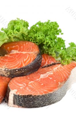 Raw salmon and lettuce isolated 