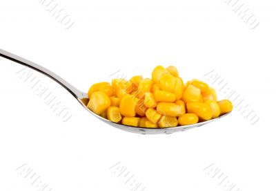 Canned corn