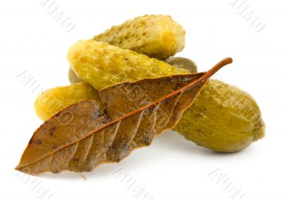 Salt cucumbers isolated on a white