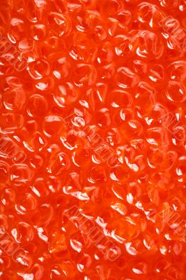 Salmon caviar