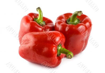 Three red peppers