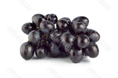 Ripe blue grape isolated