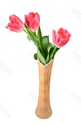 Flowers in a vase