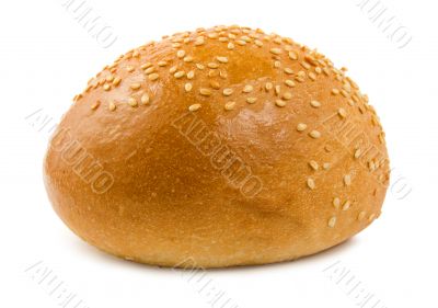 Daily Bread