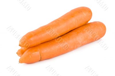 Fresh Carrots Isolated 