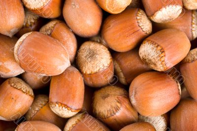Background nuts