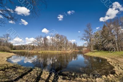 Spring in the park