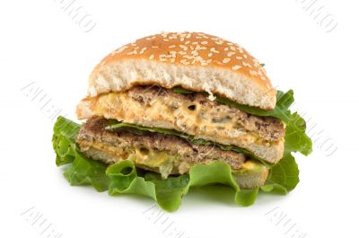 Hamburger isolated on white