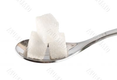 Spoon with sugar cubes
