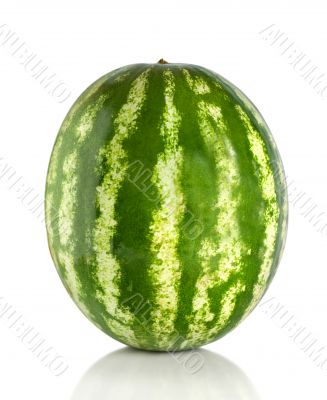 Watermelon isolated