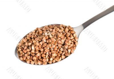 Buckwheat in a spoon