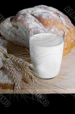 Glass of milk, wheat and bread