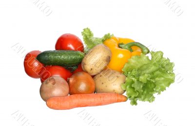 Fresh Vegetables