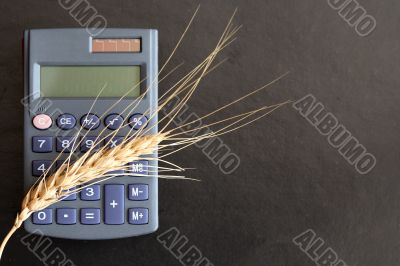 Wheat Price