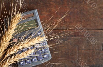 Wheat Price