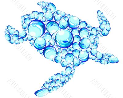 bubbles turtle
