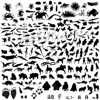 set of animal silhouettes