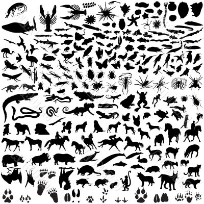 set of animal silhouettes
