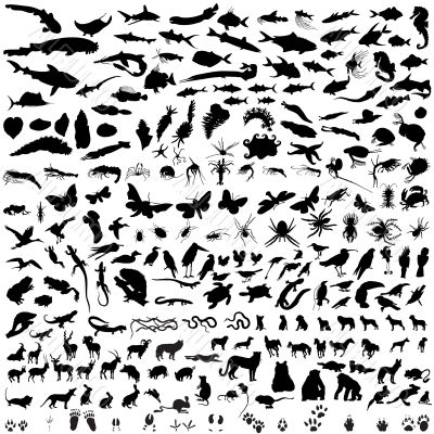 set of animal silhouettes