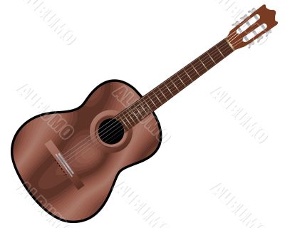 acoustic guitar