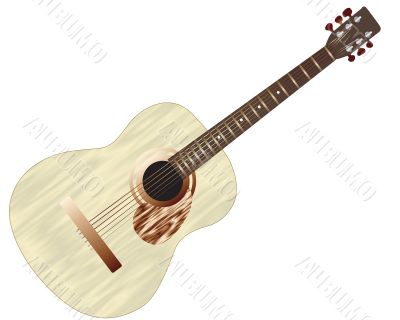 acoustic guitar