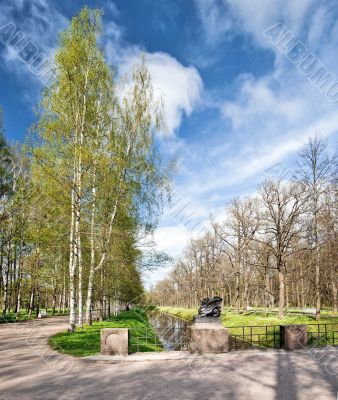 Spring landscape 