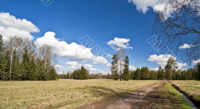 Spring in the park