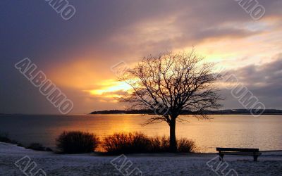 Gold Winter Sunset in Finland