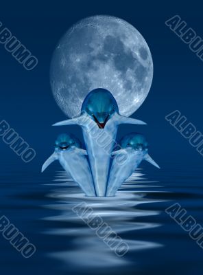 Dolphins