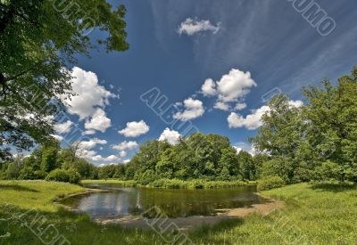 Landscape with the pond