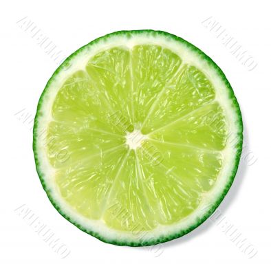  lime
