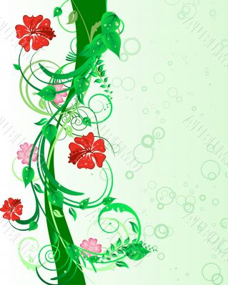 floral background