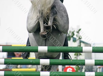 Horse Jump