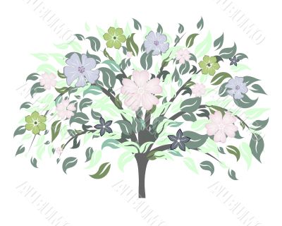blossom tree