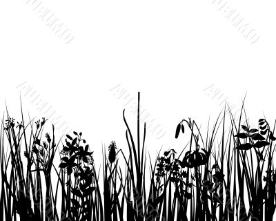 grass silhouette