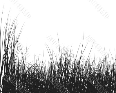 grass silhouette