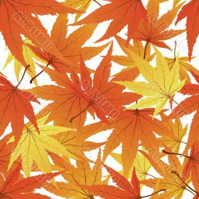 seamless maple leaves
