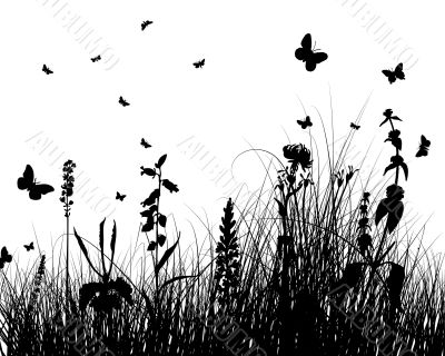 grass silhouette