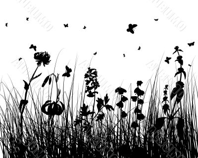 grass silhouette