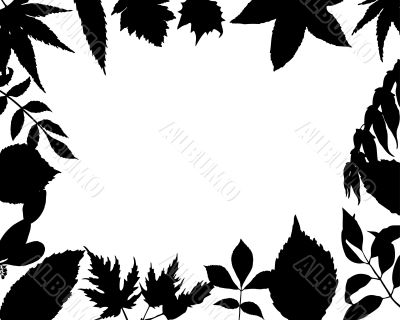 floral frame