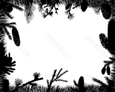 floral frame