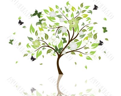 blossom tree