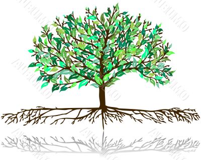 tree pattern