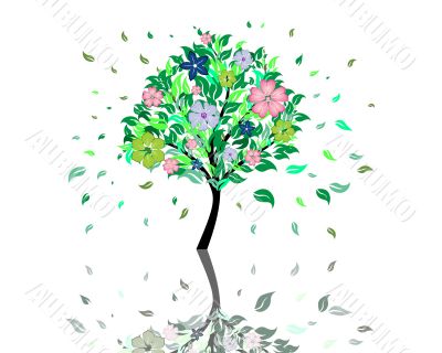 blossom tree