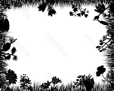 floral frame