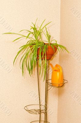 decorative flower