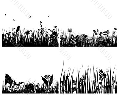 set of grass backgrounds