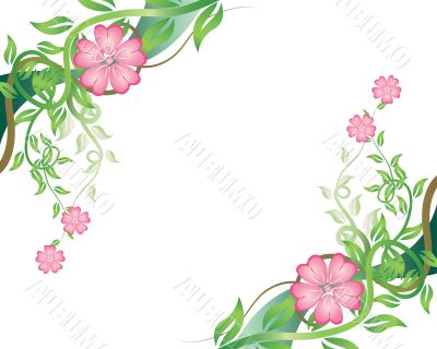 floral frame