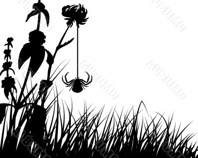 meadow background