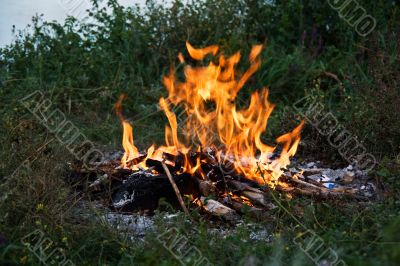 Tongues of flame